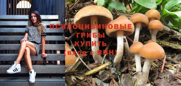 МДПВ Гусь-Хрустальный