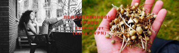гидра Дмитровск