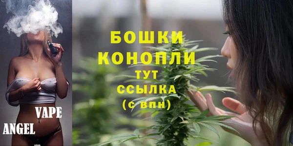 шишки Горно-Алтайск