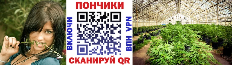 Бошки марихуана марихуана Красногорск